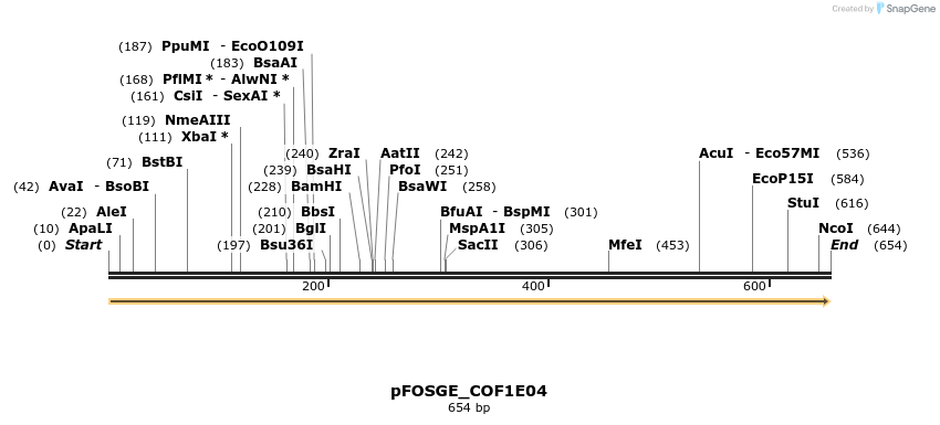 126742_map