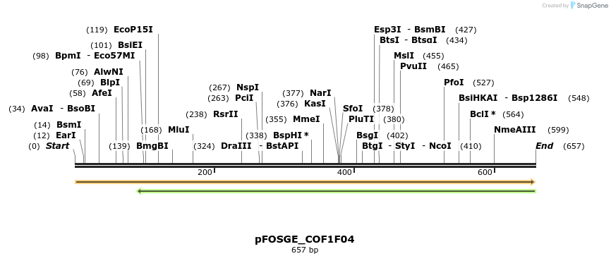 126743_map