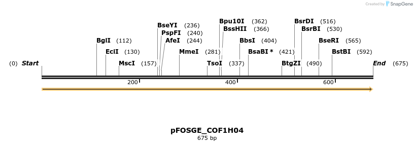 126744_map