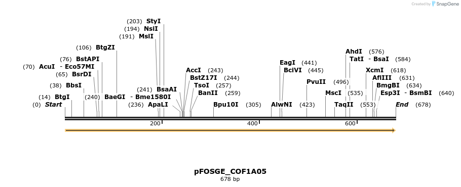 126745_map