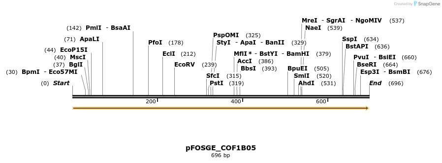 126746_map