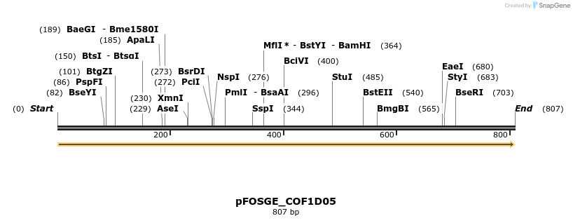 126748_map