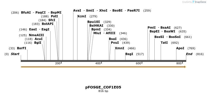 126749_map