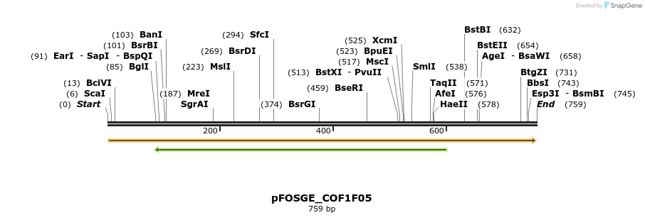 126750_map
