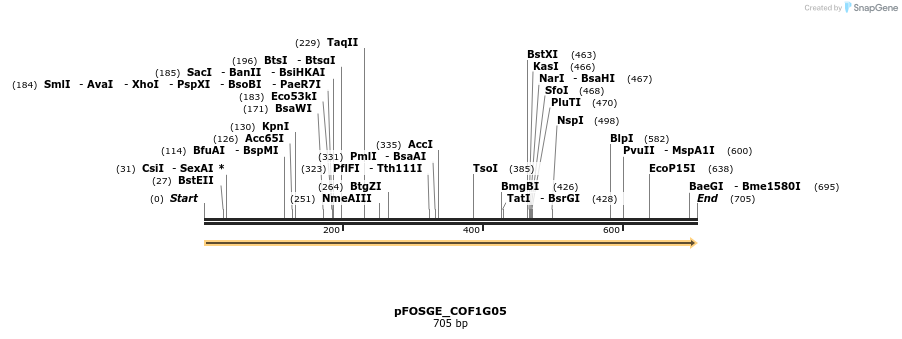 126751_map