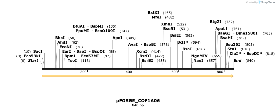 126752_map