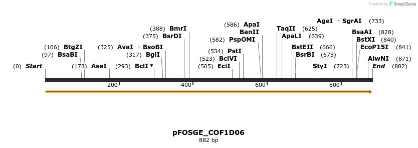 126755_map