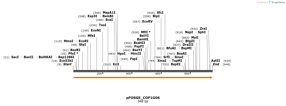 126757_map