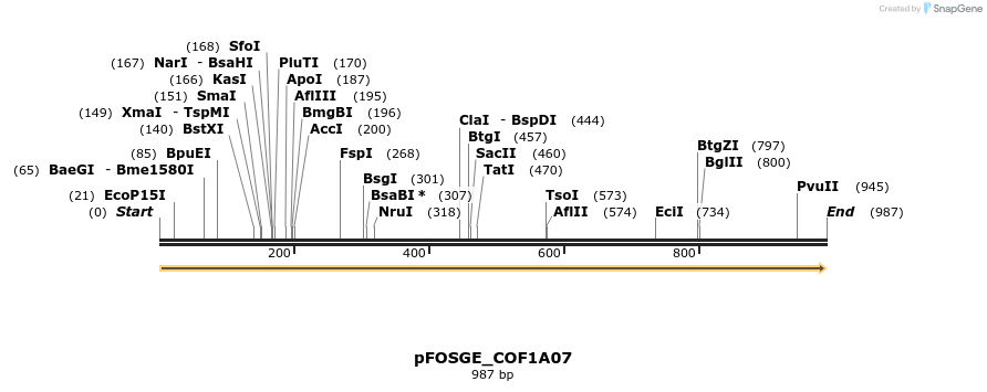 126759_map