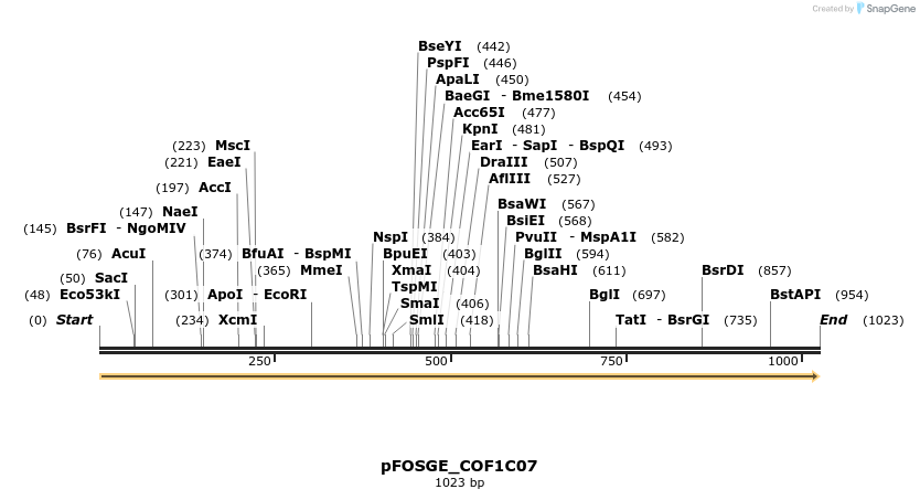 126760_map