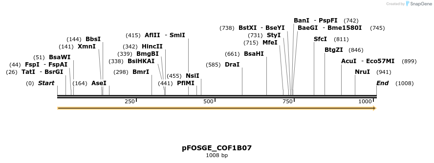126761_map