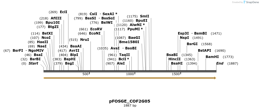 126762_map