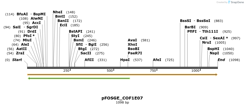126763_map