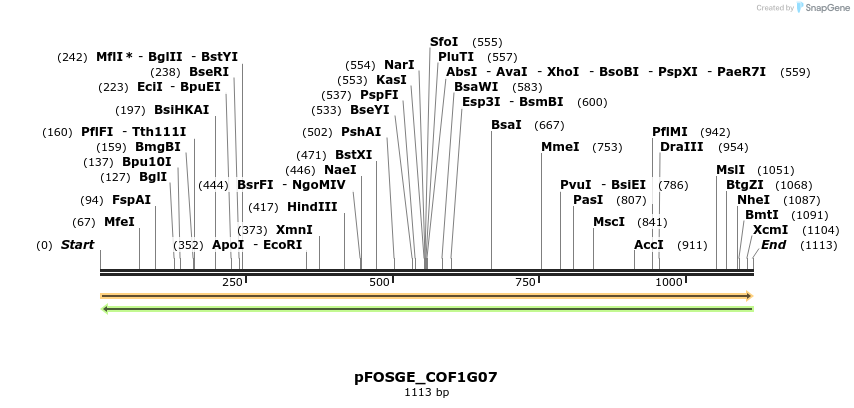 126765_map