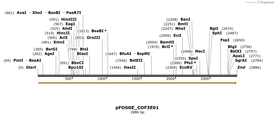 126766_map