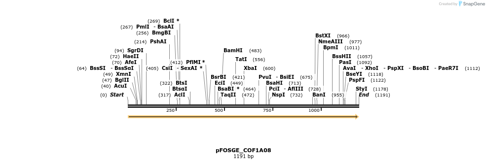 126767_map