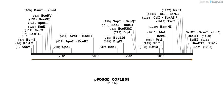 126768_map