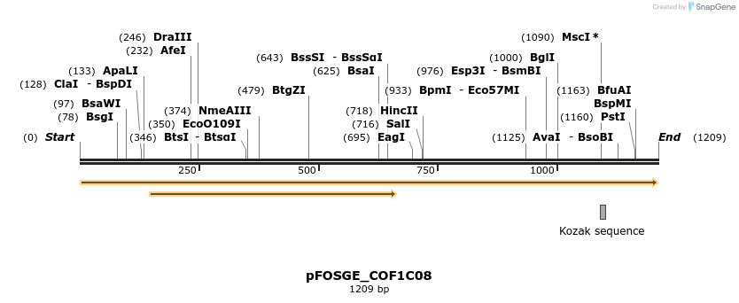 126769_map