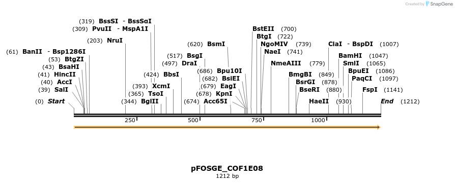 126771_map