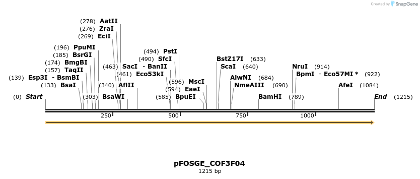126773_map