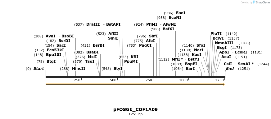126774_map