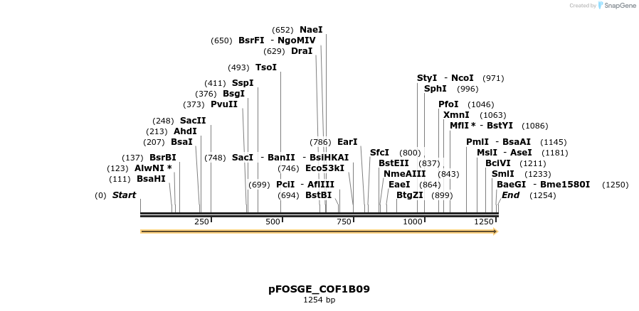 126775_map
