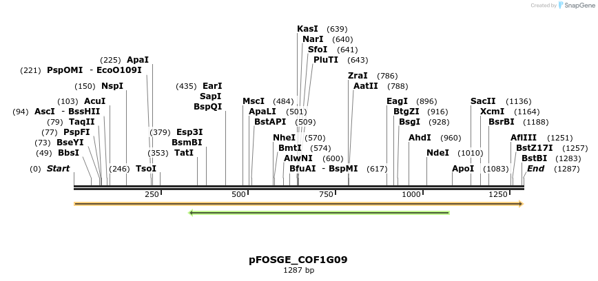 126779_map