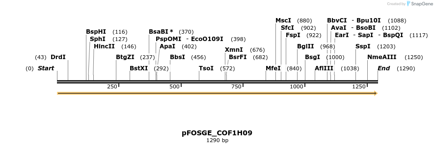 126780_map