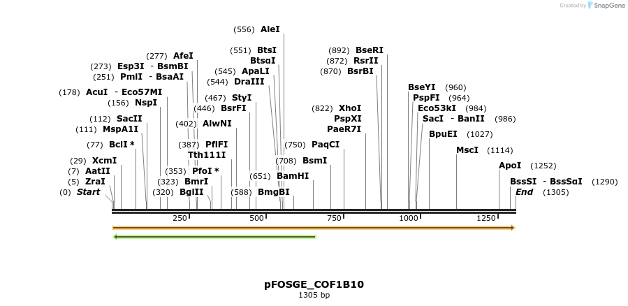 126782_map