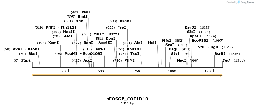 126784_map
