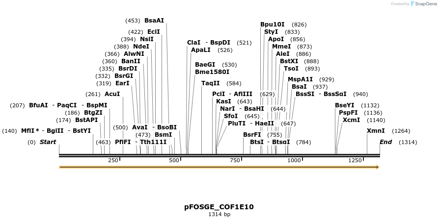 126785_map