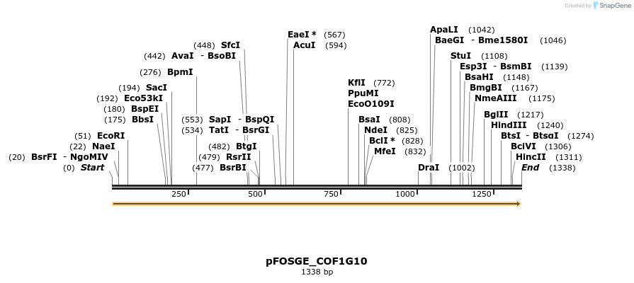126787_map