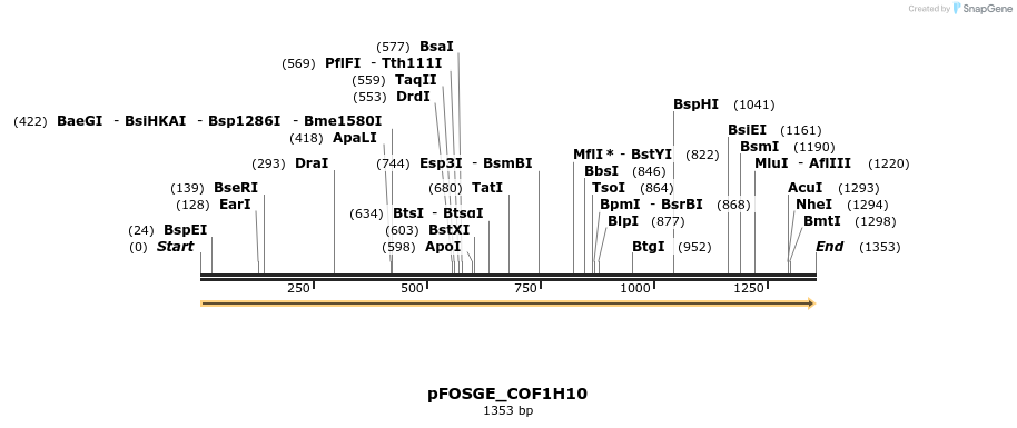 126788_map