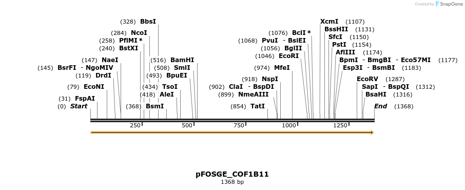 126790_map