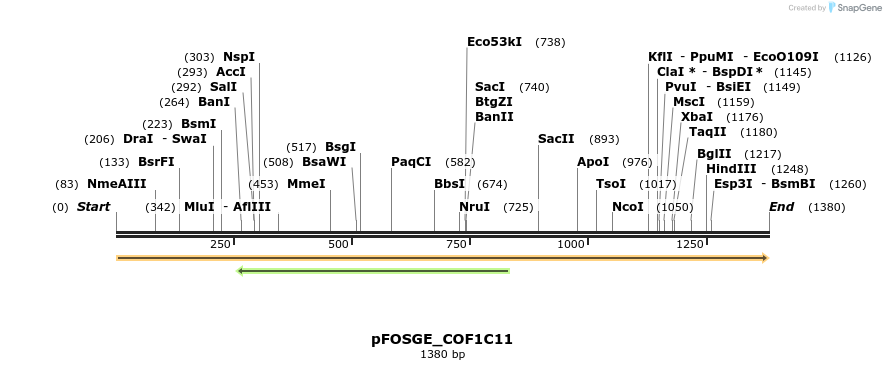 126791_map