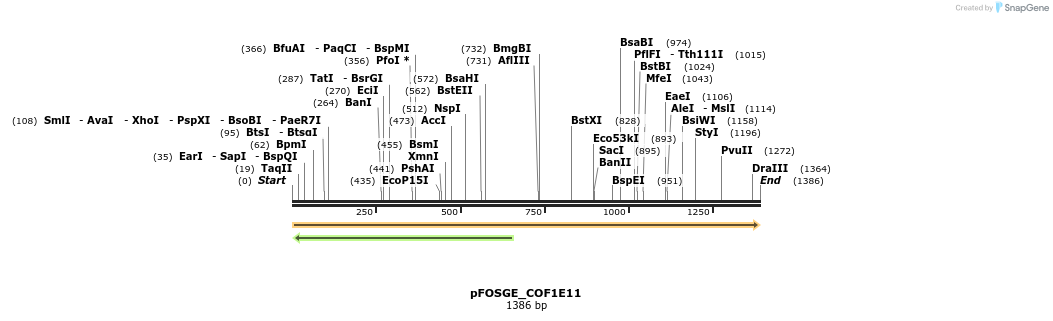 126792_map
