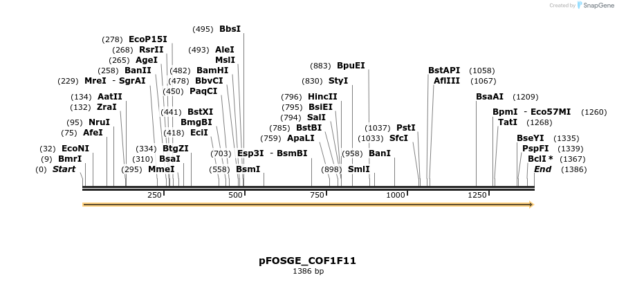 126793_map