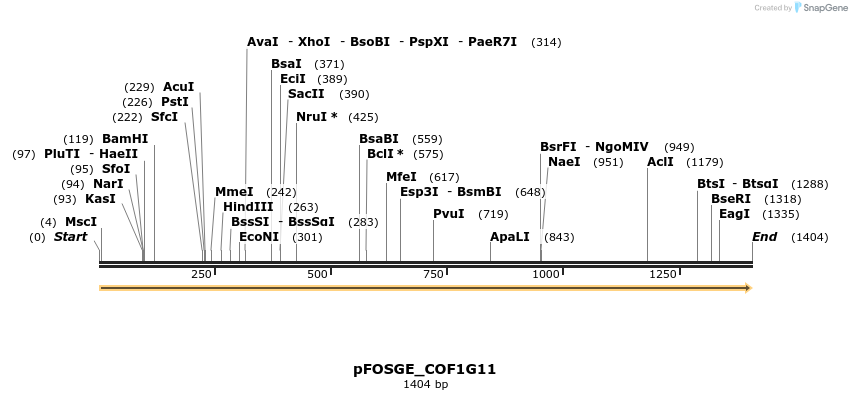 126794_map