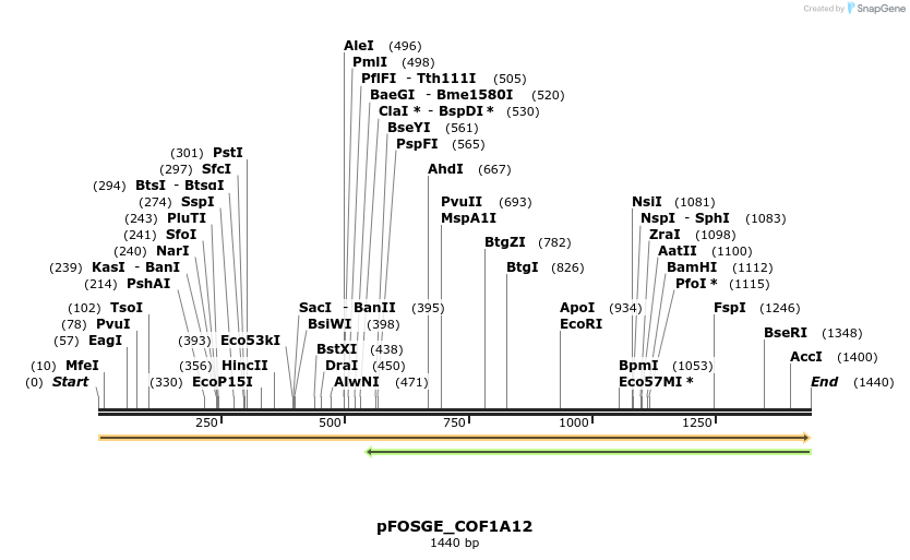 126796_map