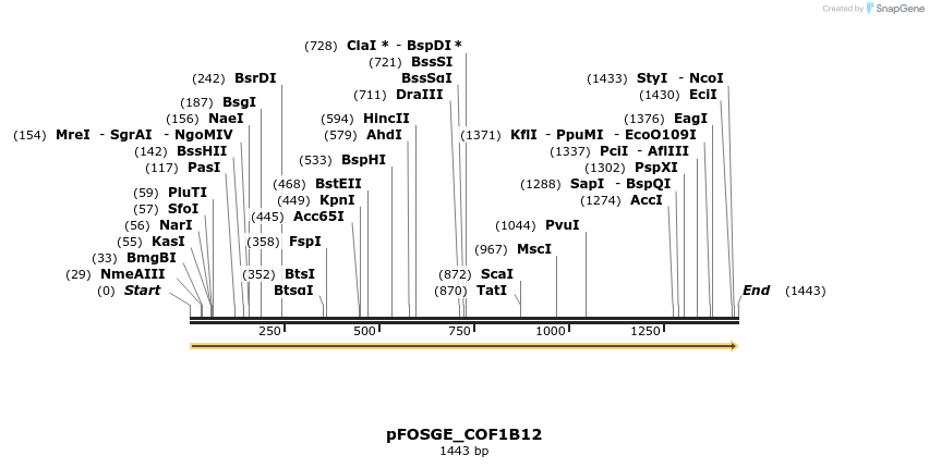 126797_map