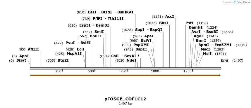 126798_map