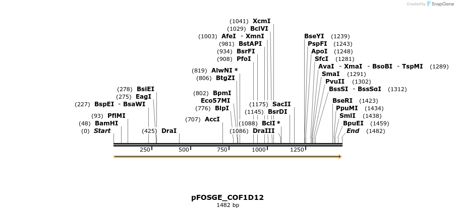126799_map