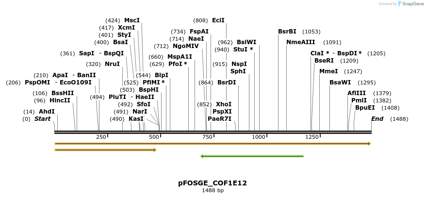 126800_map