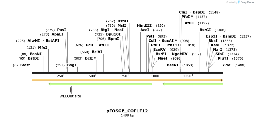 126801_map