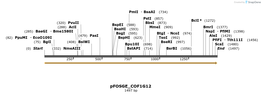 126802_map
