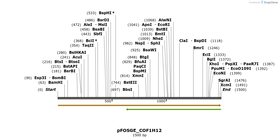 126803_map