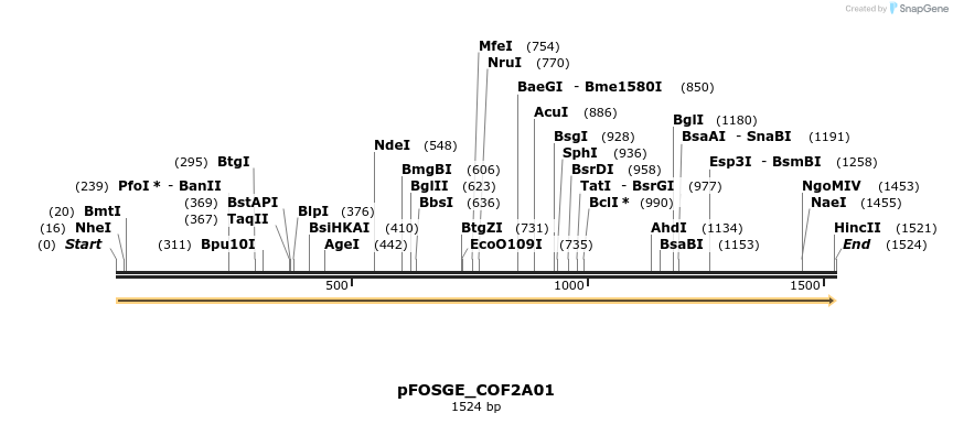 126804_map