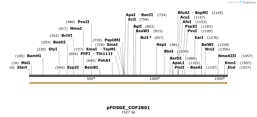 126805_map