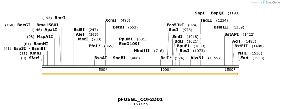 126807_map