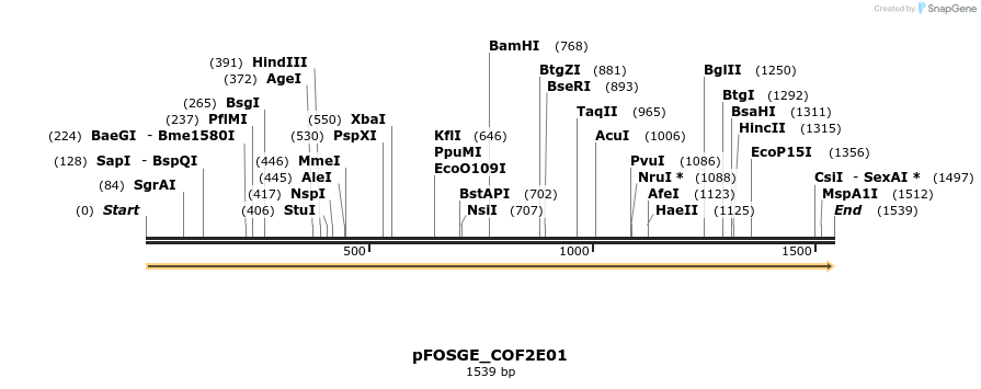 126808_map